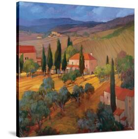 Coral Sunset Tuscany-Philip Craig-Stretched Canvas