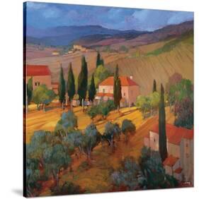 Coral Sunset Tuscany-Philip Craig-Stretched Canvas