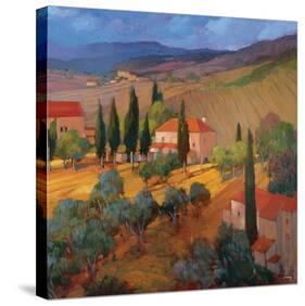 Coral Sunset Tuscany-Philip Craig-Stretched Canvas
