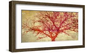 Coral Tree-Alessio Aprile-Framed Art Print