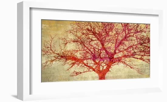 Coral Tree-Alessio Aprile-Framed Art Print