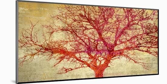Coral Tree-Alessio Aprile-Mounted Art Print