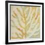 Coral Vision I-Lanie Loreth-Framed Art Print