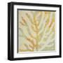 Coral Vision I-Lanie Loreth-Framed Art Print