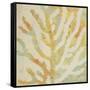 Coral Vision I-Lanie Loreth-Framed Stretched Canvas