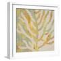Coral Vision II-Lanie Loreth-Framed Premium Giclee Print