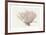 Coral - Wave-Hilary Armstrong-Framed Limited Edition