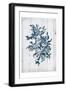 Coral White Wood Third-Jace Grey-Framed Art Print