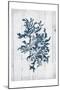 Coral White Wood Third-Jace Grey-Mounted Art Print
