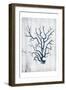 Coral White Wood-Jace Grey-Framed Art Print