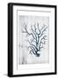 Coral White Wood-Jace Grey-Framed Art Print