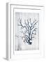 Coral White Wood-Jace Grey-Framed Art Print