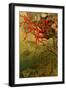 Coral-F.W. Kuhnert-Framed Art Print