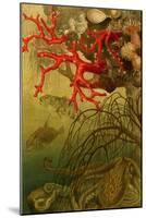 Coral-F.W. Kuhnert-Mounted Art Print