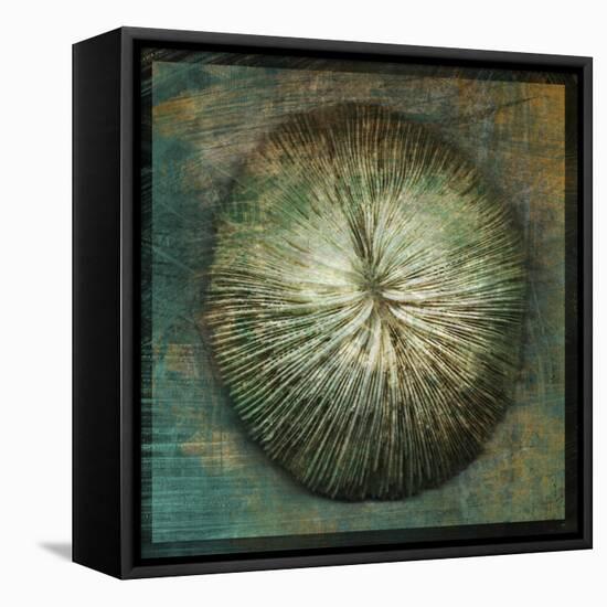 Coral-John W Golden-Framed Stretched Canvas