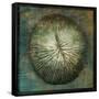 Coral-John W Golden-Framed Stretched Canvas