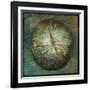 Coral-John W Golden-Framed Giclee Print