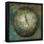 Coral-John W Golden-Framed Stretched Canvas