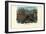 Corals, 1863-79-Raimundo Petraroja-Framed Giclee Print