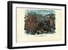 Corals, 1863-79-Raimundo Petraroja-Framed Giclee Print