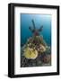 Corals Attached to Structure of Bio-Rock-Franco Banfi-Framed Photographic Print