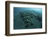 Corals Encroach on a Black Sand Slope in Komodo National Park, Indonesia-Stocktrek Images-Framed Photographic Print