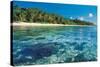 Corals in Clear Sea Water-null-Stretched Canvas