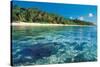 Corals in Clear Sea Water-null-Stretched Canvas