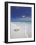 Corals on White Sandy Beach, Maldives, Indian Ocean, Asia-null-Framed Photographic Print
