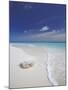 Corals on White Sandy Beach, Maldives, Indian Ocean, Asia-null-Mounted Photographic Print