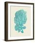 Corals Turquoise On Cream c-Fab Funky-Framed Art Print