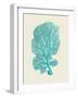 Corals Turquoise On Cream c-Fab Funky-Framed Art Print