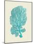 Corals Turquoise On Cream c-Fab Funky-Mounted Art Print