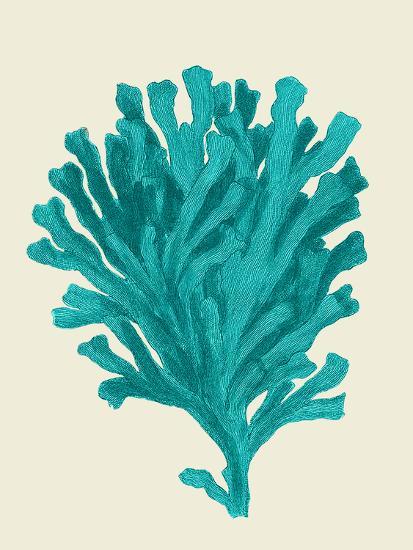 'Corals Turquoise On Cream d' Prints - Fab Funky | AllPosters.com