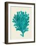 Corals Turquoise On Cream d-Fab Funky-Framed Art Print