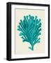 Corals Turquoise On Cream d-Fab Funky-Framed Art Print