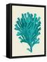 Corals Turquoise On Cream d-Fab Funky-Framed Stretched Canvas