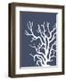 Corals White on Indigo Blue a-Fab Funky-Framed Art Print