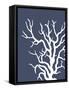 Corals White on Indigo Blue a-Fab Funky-Framed Stretched Canvas