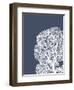 Corals White on Indigo Blue b-Fab Funky-Framed Art Print