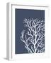 Corals White on Indigo Blue c-Fab Funky-Framed Art Print