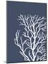 Corals White on Indigo Blue c-Fab Funky-Mounted Art Print
