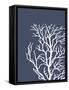 Corals White on Indigo Blue c-Fab Funky-Framed Stretched Canvas