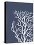 Corals White on Indigo Blue c-Fab Funky-Stretched Canvas