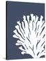 Corals White on Indigo Blue d-Fab Funky-Stretched Canvas