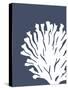 Corals White on Indigo Blue d-Fab Funky-Stretched Canvas