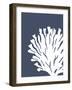 Corals White on Indigo Blue d-Fab Funky-Framed Art Print