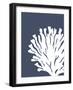 Corals White on Indigo Blue d-Fab Funky-Framed Art Print