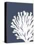 Corals White on Indigo Blue d-Fab Funky-Stretched Canvas