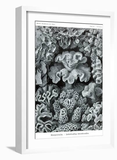 Corals-Ernst Haeckel-Framed Art Print